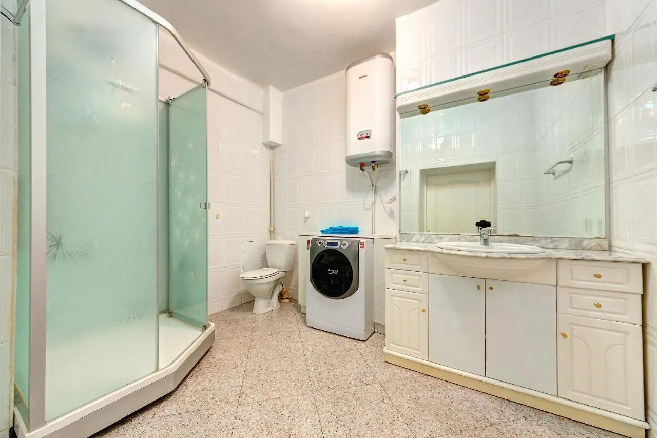 Comfortable Apartment Klovs'Kyi Descent, 13 Kiev