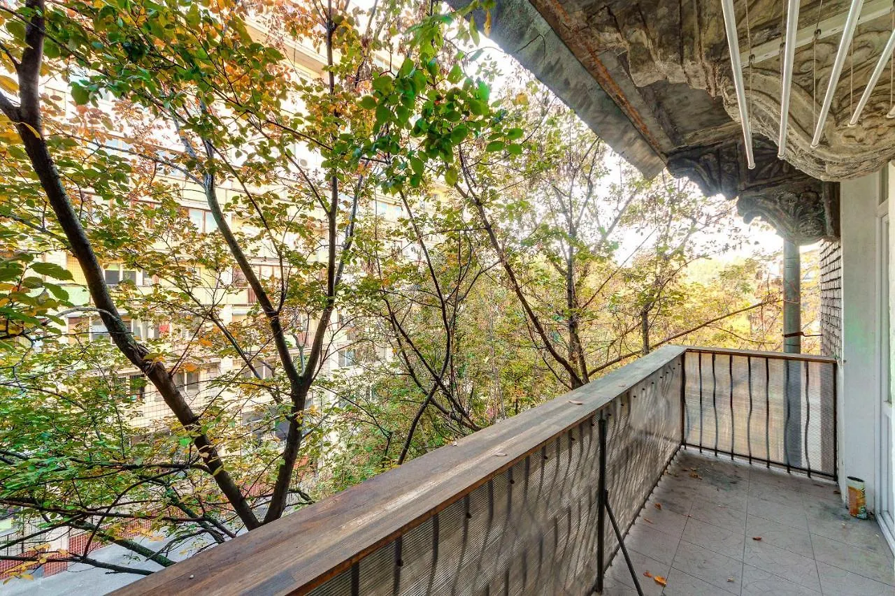 Comfortable Apartment Klovs'Kyi Descent, 13 Kiev